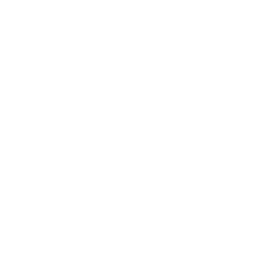 loud speaker icon
