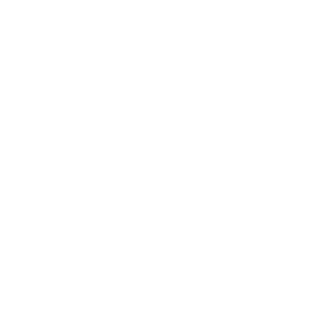 loud speaker icon