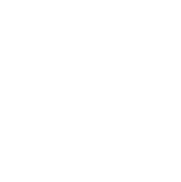 leads icon