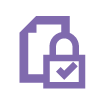 secure lock icon